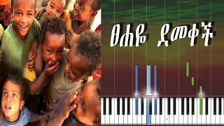 Ethiopian Kids Song  Tsehaye Demekech  ፀሐዬ ደመቀች  Synthesia [upl. by Maise412]