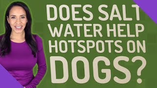 Does Salt Water Help hotspots on dogs [upl. by Anse192]