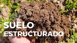 La IMPORTANCIA del SUELO para aumentar la RENTABILIDAD DE NUESTRO CULTIVO [upl. by Nelon679]