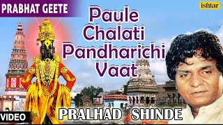 Top 14  Paule Chalati Pandhrichi Vaat  Hits Of Pralhad Shinde  Audio Jukebox [upl. by Novoj]