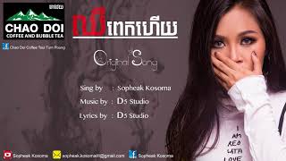 ឈឺពេកហើយ by KOSOMA Official Audio [upl. by Negroj601]