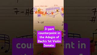 Bachs contrapuntal violin art bach violin sonata musictheory jsb partita counterpoint [upl. by Rieger]