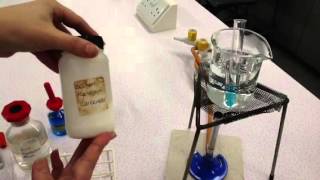 Test for NonReducing Sugar [upl. by Adaliah]