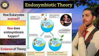 Endosymbiotic Theory   How to Evolve Prokaryote to Eukaryote Cell  Hindi [upl. by Pearman]