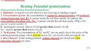 chapter four section one lect 2 Polarization Depolarization and Repolarization [upl. by Chaunce]