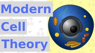 6 Main Points of Modern Cell Theory [upl. by Nyleuqaj42]