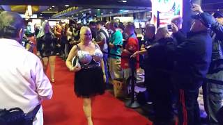 AVN AWARDS 2018 Red Carpet feat Sienna Hills and more [upl. by Abbottson]