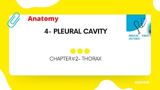 Pleural Cavity  CHAPTER2 THORAX [upl. by Sarene]