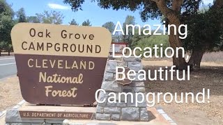 Escape the Ordinary Discover the Hidden Wonders of Oak Grove Campground [upl. by Michigan]