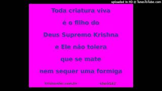 Toda criatura viva é o filho do Deus Supremo Krishna e Ele não tolera que se mate nem kfm9142 [upl. by Ahsuas]