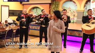 UTAH MARIACHI PROGRAM árboles de la barranca [upl. by Norrab]