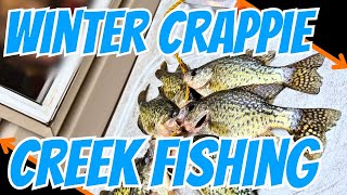 Winter Crappie Creek Fishing  BONUS Species [upl. by Cyprus]