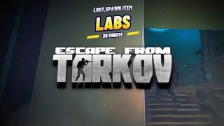 Tarkov Labs Partida vacía SpawnLoot GPSAForward Keycard YellowBlackRedViolet 05102024 [upl. by Risay]