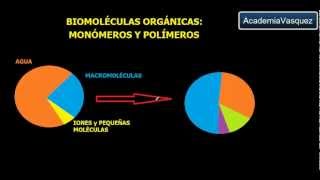 Biomoléculas Orgánicas Monómeros y Polímeros [upl. by Jeanne948]