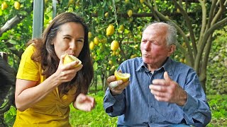 LEMON  How Does it Grow ITALY SPECIAL sweet Amalfi lemons [upl. by Nasus888]