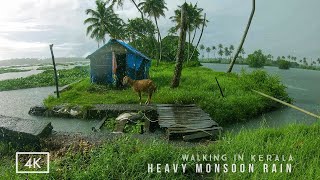 Refreshing walk in heavy rain on the backwaters of Kerala  ASMR rain sounds for deep relaxing sleep [upl. by Sualk]