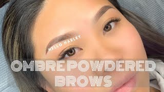 Ombre Powdered Brows The Process [upl. by Noyr501]