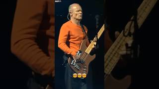 Flea  Incredible Bass Solo rhcp redhotchilipeppers live shorts [upl. by Berti]