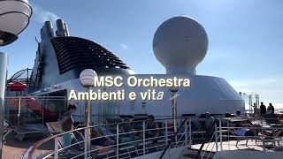 MSC Orchestra Crociera di 11 giorni RECENSIONE [upl. by Nytsirk725]