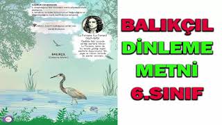 Balıkçıl Dinleme Metni 6 sınıf [upl. by Anahtor]