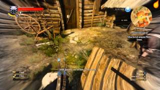 The Witcher 3 Twisted Firestarter  Quest Walkthrough [upl. by Ludewig]