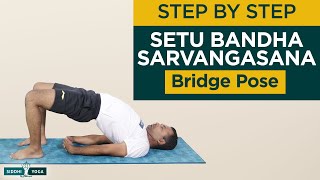 Setu Bandha Sarvangasana Bridge Pose Benefits How to Do amp Contraindications by Yogi Sandeep [upl. by Ericha]