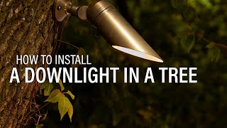 How to Install Landscape Lighting  Mounting a Downlight In a Tree [upl. by Lowe351]