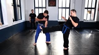 How to Do Inside Defense against Kick  Krav Maga Defense [upl. by Isayg894]