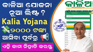 Kalia Yojana New Update 2024  Kalia Yojana New Beneficiary List Check Online  kalia yojana ekyc [upl. by Rieger]