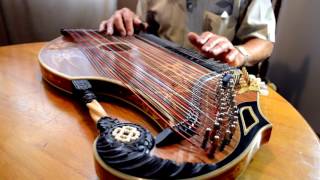 Rolf Playing the Zither [upl. by Bergman]