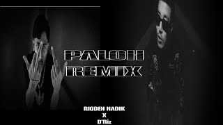 RIGDEN NADIK PALOH REMIX FT DRiz [upl. by Jos]