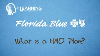 What is a HMO Plan [upl. by Ynnatirb400]