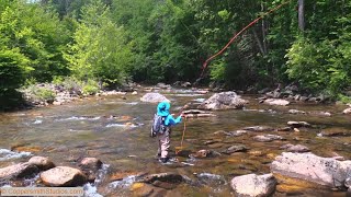 Fly Fishing the West Fork Pigeon River North Carolina [upl. by Marucci459]