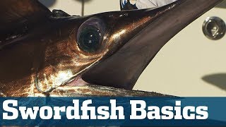 Catch Swordfish  Florida Sport Fishing TV  Step By Step Setting A Bait [upl. by Chaudoin]