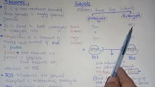 Ribosomes Structure And Functions  Polysomes  Federal amp KPK Board [upl. by Nanon]