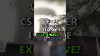 Which CS STICKER is MORE EXPENIVE part 2 [upl. by Ruddy318]