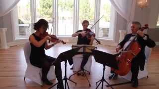 String Trio of Violin Viola and Cello  Wedding Music  A Music Plus Entertainment [upl. by Airoled804]