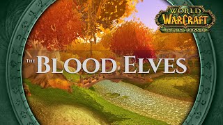 The Blood Elves  Music amp Ambience  World of Warcraft The Burning Crusade [upl. by Natalie]