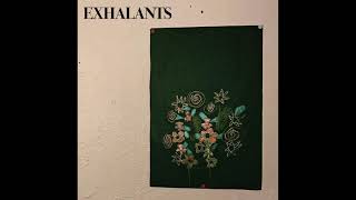 Exhalants ‎– Atonement ‎Full Album HQ 2020 [upl. by Cozza]