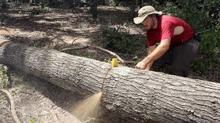 AMAZING Grain in a Quarter Sawn RED OAK [upl. by Erdne]