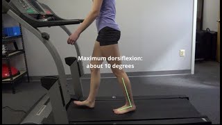 Analysis of Gait Motion Sagittal Plane [upl. by Annoved]