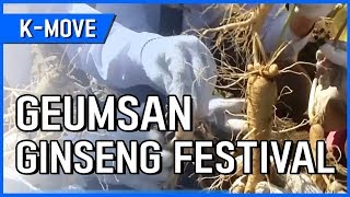 KMOVE Geumsan Ginseng Festival  YTN KOREAN [upl. by Madai]