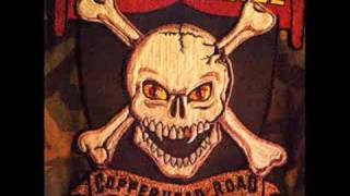 Steve Earle  Copperhead Road [upl. by Eimmaj]