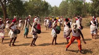 Ghotul Dance or Mandri Dance by Muria Tribe of Bastar Tribal Dance Indian Tribal Dance Dances [upl. by Annahs]