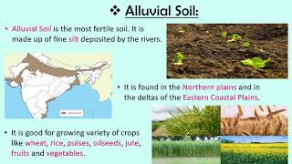 Soils of India CBSE SSTEVS Class 4 [upl. by Guglielma303]