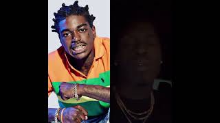 Kodak Black cousin responds to fans saying Kodak is a clone [upl. by Ecenaj934]