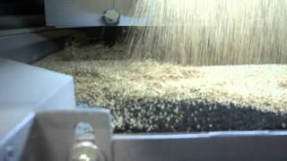 Akyurek Technology  Sesame Seed Cleaning Plant in Michigan USA [upl. by Byrd586]