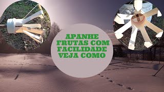 APANHADOR DE FRUTA [upl. by Shaff]