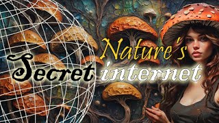 Natures Secret Internet How Mycelium Can Save the World [upl. by Akiehsal]