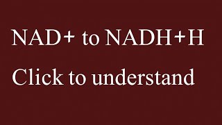 NAD forms NADHH  How Why is Plus sign at NAD [upl. by Rainie176]